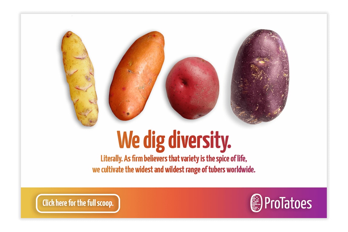 Another mock advertisement for ProTatoes.