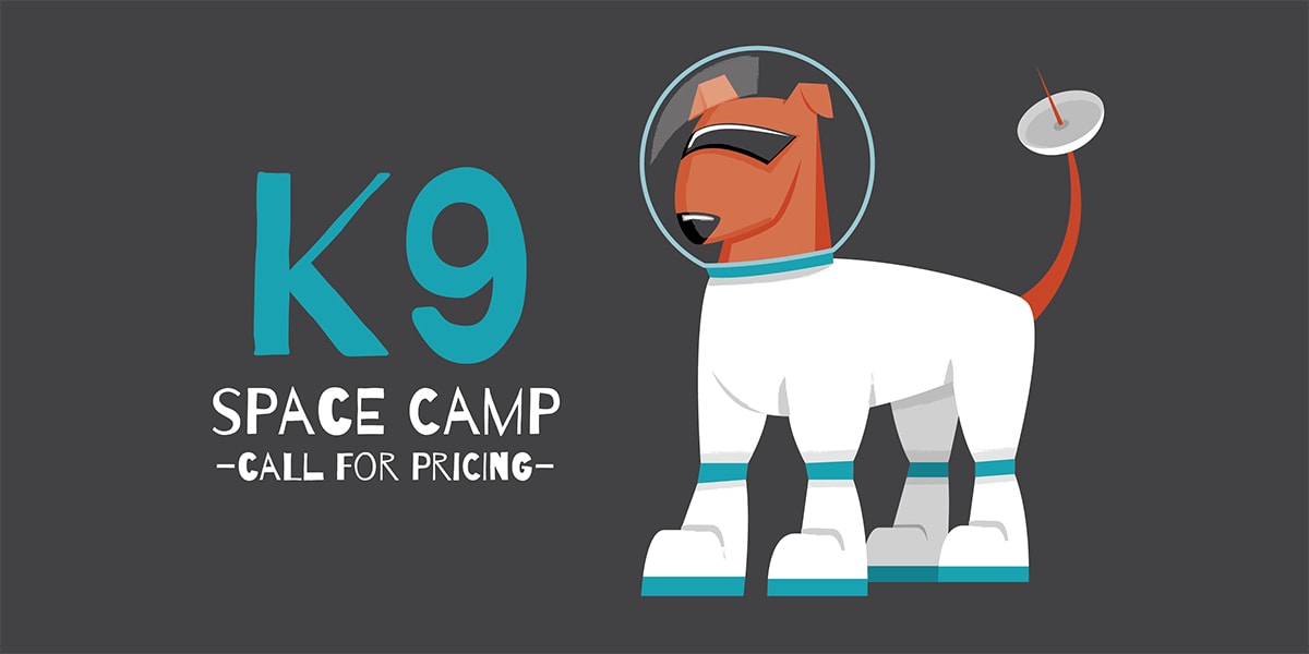 A mock advertisement for K9 Space Camp that doesn't list the price.