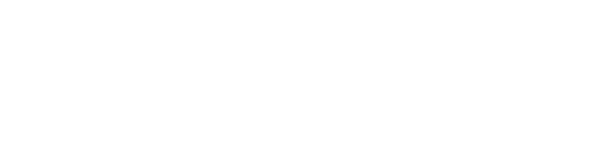 Transportation Marketing Group
